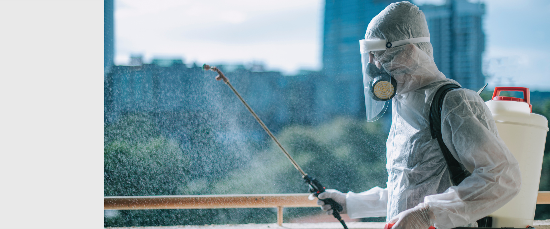 Control de Plagas Alycamp